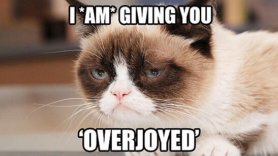 Grumpy_Cat_Overjoyed_a_l