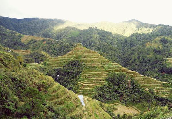 Banaue_Rice_Terraces,_Ifugao
