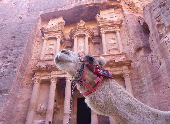 El_Khasneh_and_the_camel