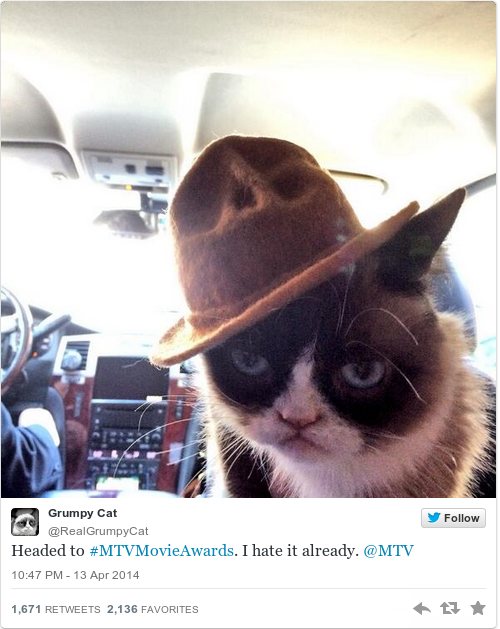 grumpy-cat-twitter